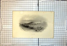 Old Flodden Cart Track Hedge Field Gate Fields Sloping Uphill Trees 273J