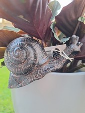 Garden Gift Snail Plant POT