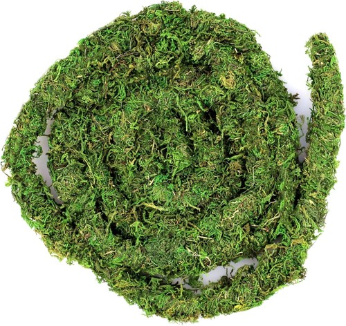 Galpagos moss vine 12ft - galpagos,