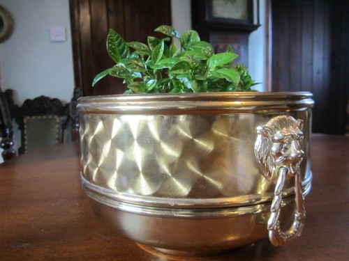 Vintage shiny brass - vintage, plant