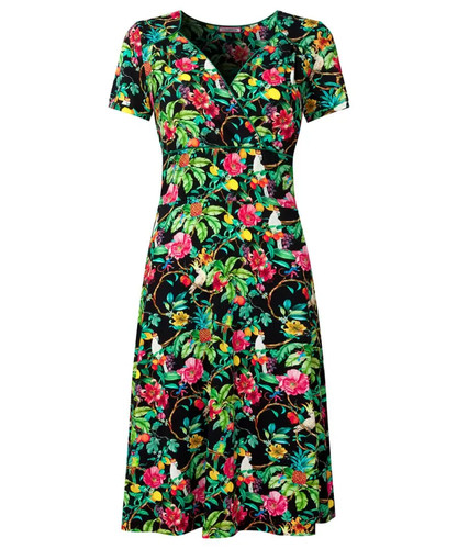 Bnwt joe browns pretty parrot - joe,