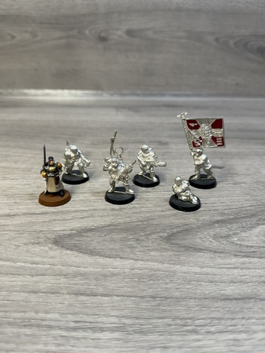 Warhammer 40k imperial guard - warhammer,