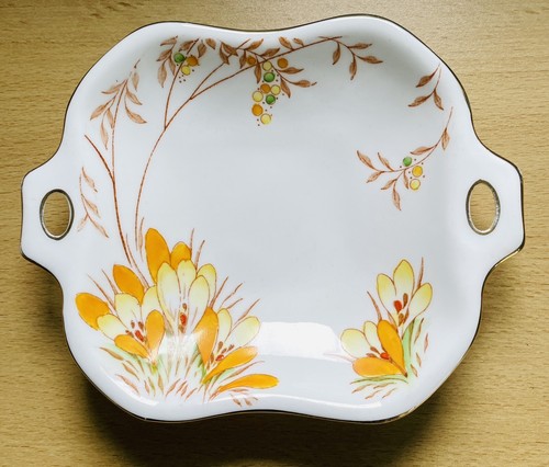 Roslyn fine bone china - bone,