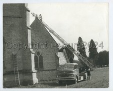 Rentokil Pigeon Repellent