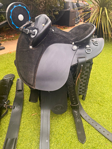 Horseproblems australia black - australia,