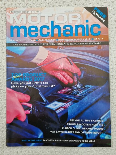 Professional motor mechanic - motor,