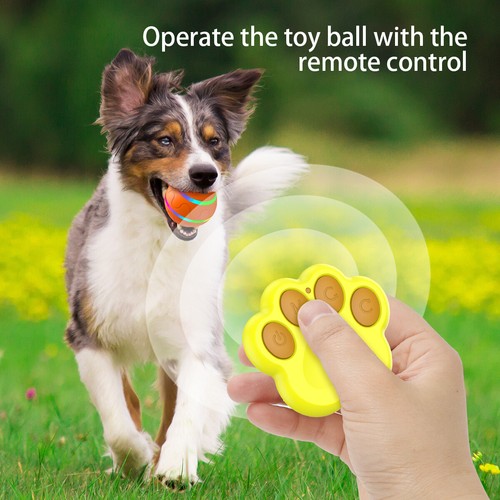 Interactive dog ball toy - dog,