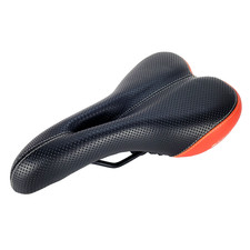 Schwinn tingbo indoor - schwinn, exercise