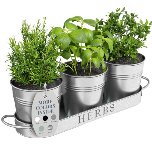 Barnyard designs herb - herb, planter