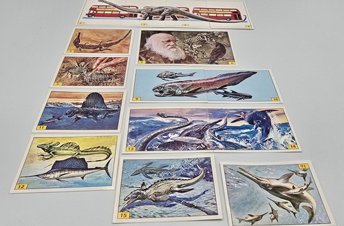 1992 panini kellogg - panini, kellogg's
