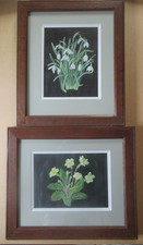 Pair Vintage Floral Primroses