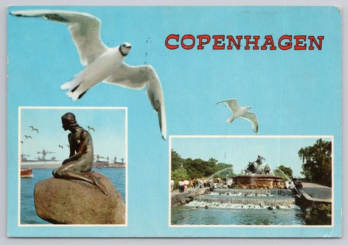 Postcard copenhagen sea gull - postcard,