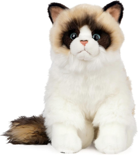 Ragdoll cat realistic soft - cat,,
