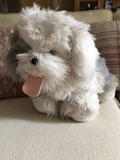Old English Sheepdog Fluffy