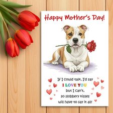 American bulldog mother - american,