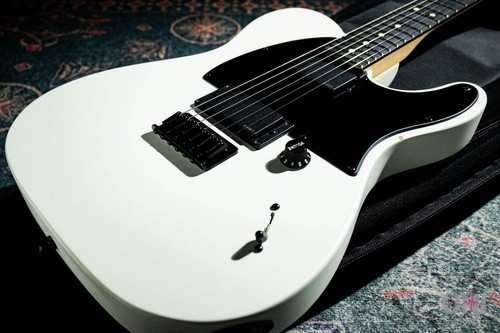 Fender jim root telecaster - jim,
