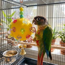Plastic Parrot Chewing Toy