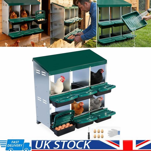Tier holes chicken nesting - chicken,