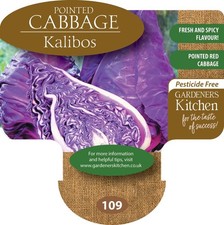Cabbage Plants Red - 'F1