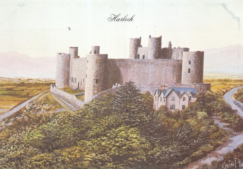 Kevin platt paintings harlech - platt,