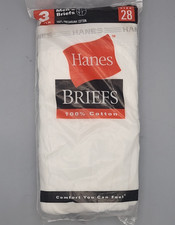 Vintage 2000 Hanes Classic
