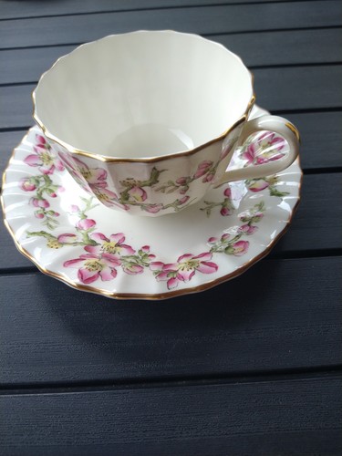 Royal worcester tea cup - worcester,