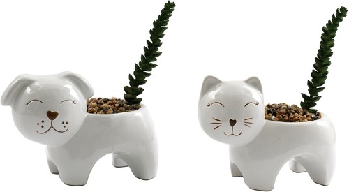 Dog kitten ceramic - kitten, plant