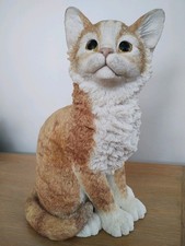 Leonardo Collection 2001 kitten