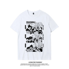 Dragon Ball Animation