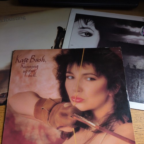 Kate bush vinyl - bush, 12"