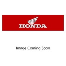 Honda 2013-2017 Goldwing GL