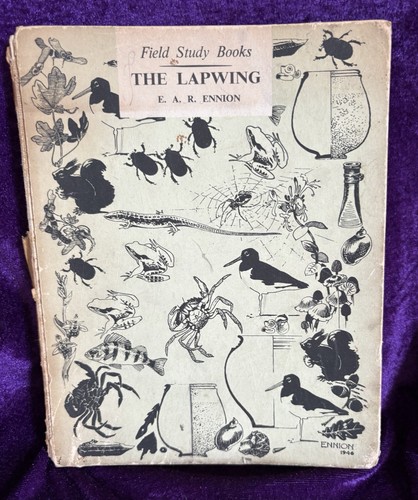 The lapwing r ennion - r.,