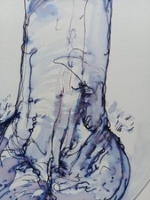 Hand Drawn Ink  Anatomy Art