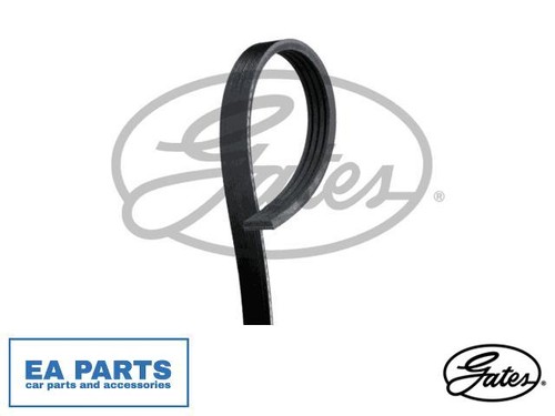 Ribbed belt for chevrolet - belt,