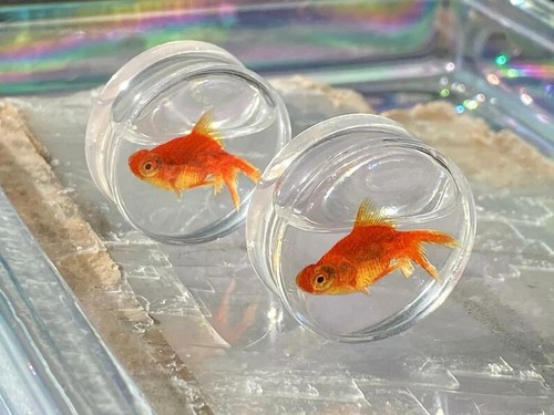 Goldfish liquid ear plugs - plugs, fish