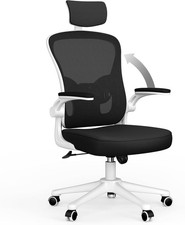 naspaluro Ergonomic Office