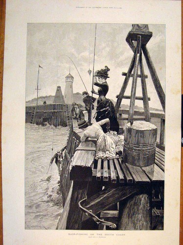 Old antique print bass - old,