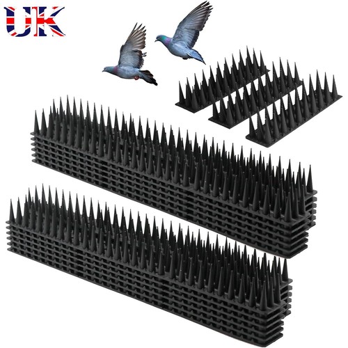 Bird spikes for pigeon - uk,