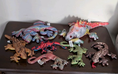Bundle lizards geckos - of,