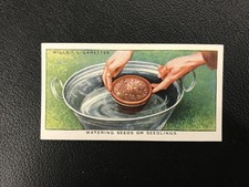 1938 Wills's Garden Hints #44