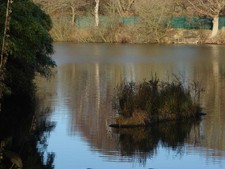 Photo A3 Send fishing lakes A