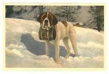 St. Bernard Dog Carrying Small