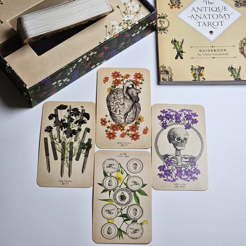 The antique anatomy tarot - the, kit
