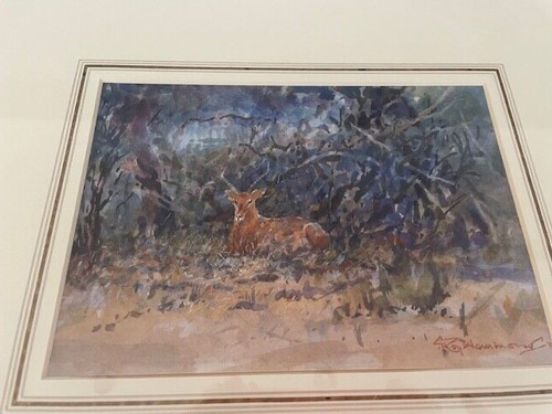 Original roy hammond framed - hammond,