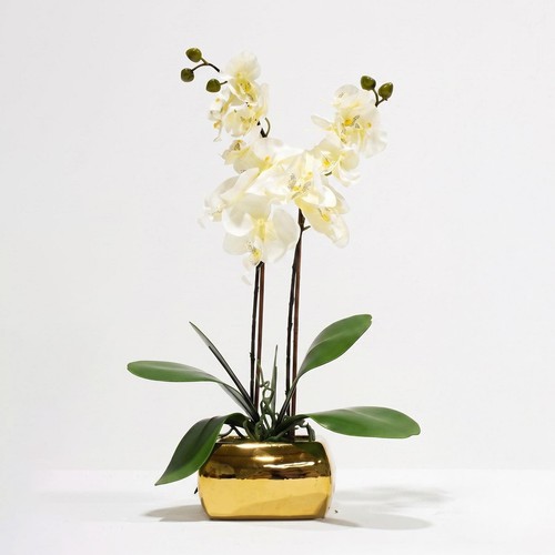 Artificial cream orchid - artificial,