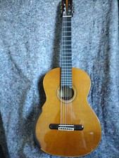 Yulong Guo SPECIAL Koa and