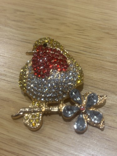Robin loved ones brooch great - brooch,