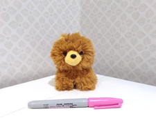 Brown Pomeranian dog Puppy