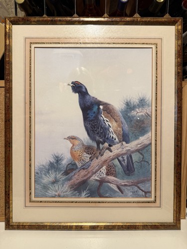 Framed art print - framed,