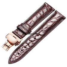 Genuine Alligator Crocodiles